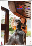 SAY_2283