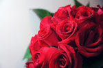 SAY_9600