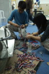 reopen-prepare_15