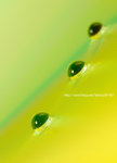 _DSC0021