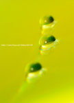 _DSC0022