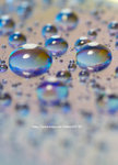 _DSC0097
