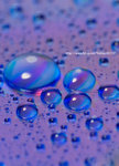 _DSC0146