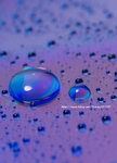 _DSC0163