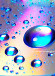 _DSC0167