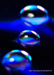 _DSC0699