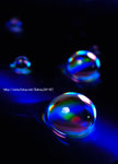 _DSC0701
