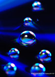 _DSC0702
