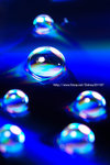 _DSC0703