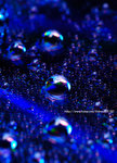 _DSC0717