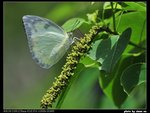 
�E����(�L������)