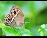 
�p�ܲ���(��u��)