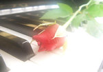 piano-_eeSt