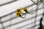IMG_1920