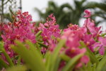 lakegarden00