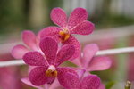 lakegarden02