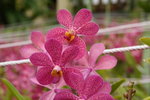 lakegarden03