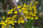 lakegarden05