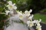 lakegarden07
