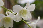 lakegarden08