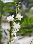 lakegarden09
