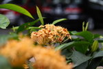 lakegarden17