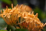 lakegarden18