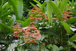 lakegarden25
