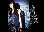 Dark_Cherries_Sakura_Rock_01a