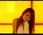 PC096088s