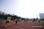 DSC_2293 copy