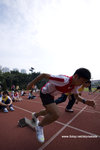 DSC_2311 copy