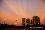 DSC_5454 copy