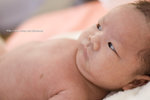 DSC_2368 copy