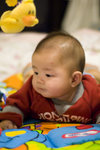 DSC_8555 copy