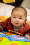 DSC_8557 copy