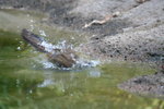 IMG_2842
