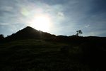 IMG_2288
