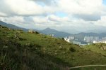 IMG_2303