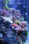 rz30IMG_3440