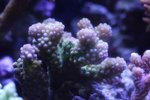 rz30IMG_3459