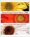 flowershow
