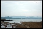 Img1031