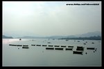 Img1828