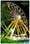 DSCN0126