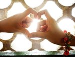 IMG_9904_wallpaper