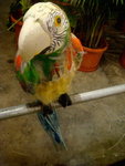 DSC06550