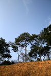 IMG_1064