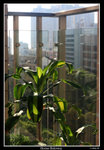 PS_Balcony_1839_RS