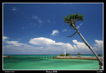 PS_Okinawa_4716_RS